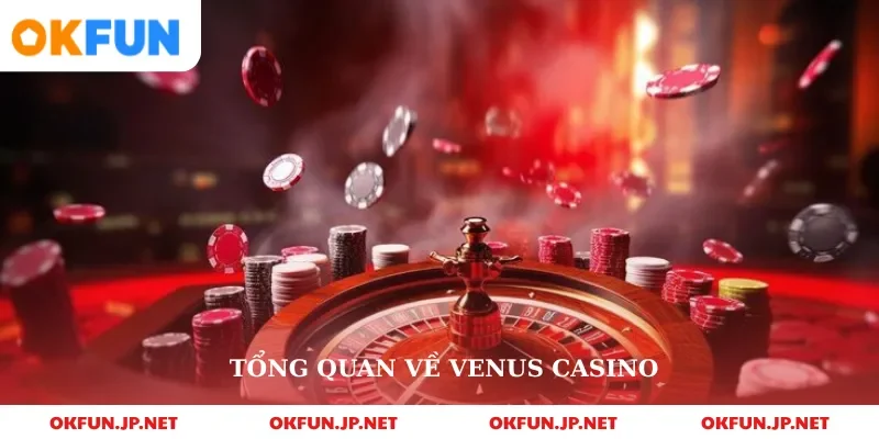 Tổng quan về venus casino